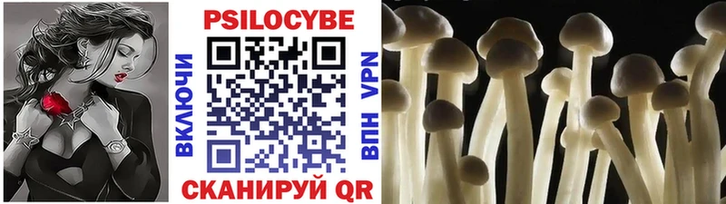 Галлюциногенные грибы GOLDEN TEACHER  Купить где  Солнечногорск 